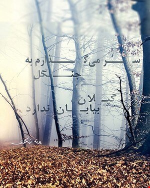 کتاب سر می گذارم به جنگل، گیلان بیابان ندارد